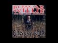 Boxcar Willie - Polly Wolly Doodle