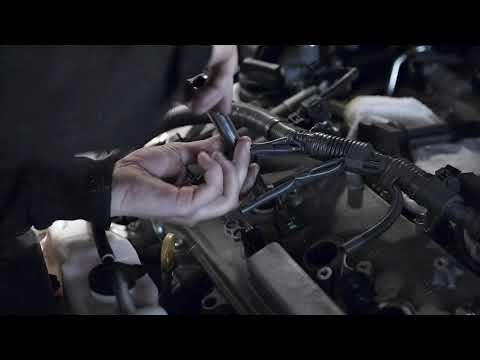 Videos from Sandgate Auto Electrics