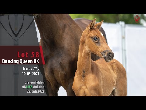 ONLIVE-AUKTION Lot 58 Dancing Queen RK Stute v. Dynamic Dream - Belissimo M