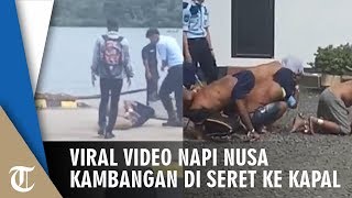 Video Viral Narapidana Diseret dan Dipukul di Nusakambangan saat Dipindahkan, Kalapas Dinonaktifkan