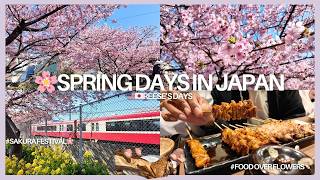 🌸Spring days in🇯🇵|🇺🇸夫と日本で初めてのお花見🍡in三浦海岸|Sakura Festival🌸 in Japan🇯🇵 with my 🇺🇸husband