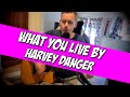 What You Live By - Harvey Danger (cover)