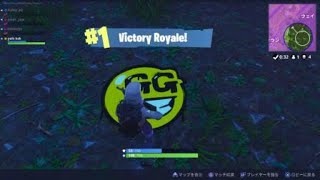 【FORTNITE】みーとも3人でドン勝