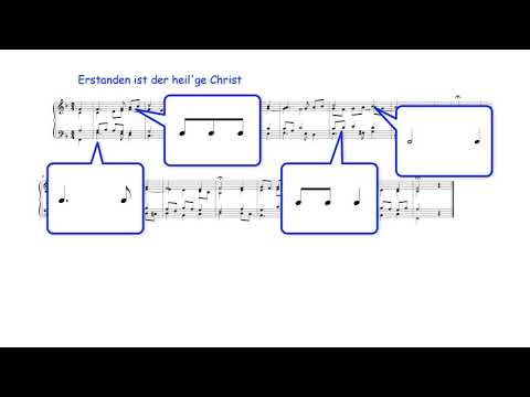 J. S. Bach's Chorales 4: Contrapuntal Elements