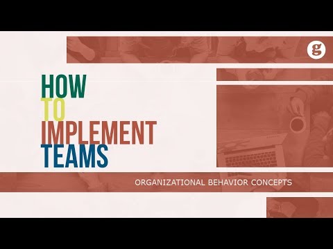 What is Organizational Behavior