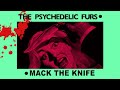 Psychedelic Furs 'Mack the Knife' (+lyrics) 2002 Remaster