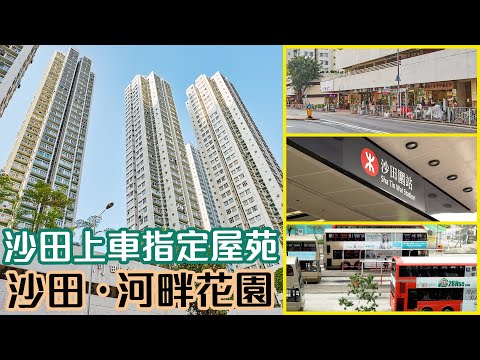 河畔花园 Youtube Video