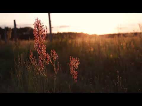 Video 16 aus  Reiter- und Erlebnisbauernhof Groß Briesen