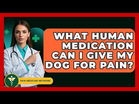 What Human Medication Can I Give My Dog For Pain? - Pain Medicine Network