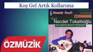 Koş Gel Artık Kollarıma - Necdet Tokatlıoğlu (Official Video)