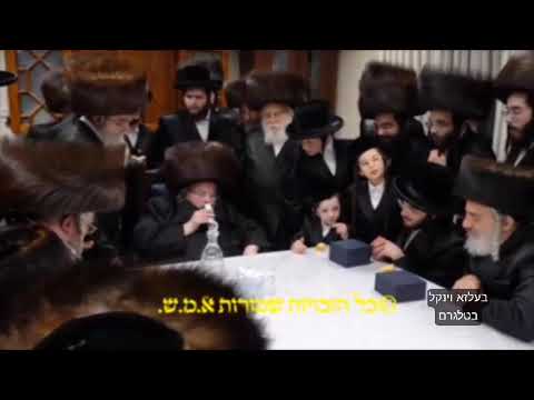 Engagement Of Belzer Rebbe's Granddaughter - Kislev 5785