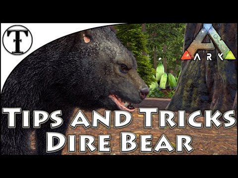 Fast Dire Bear Taming Guide :: Ark : Survival Evolved Tips and Tricks