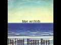 Blue Orchids - Disney Boys (Vinyl)