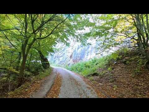 Ponor si Valea Inzelului