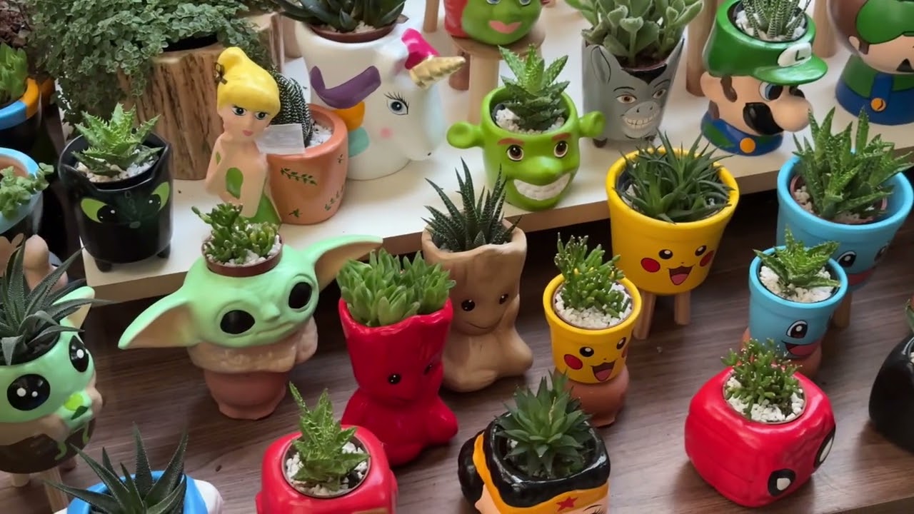 Plantas do Interior na Promoção!