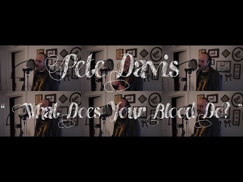 Pete Davis - What Does Your Blood Do (Redux session)