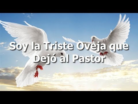 Soy La Triste Oveja - Manuel Bonilla