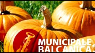 Municipale Balcanica - Odessa Bulgarish (Balkan Music)
