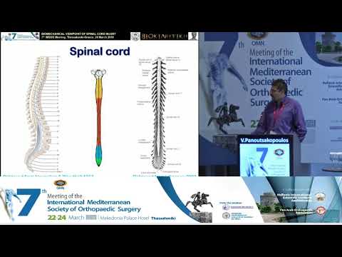 Panoutsakopoulos V - Biomechanical viewpoint of spinal cord injury