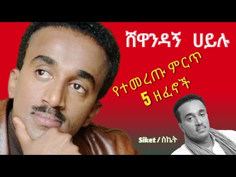 Shewandagne Hailu Best 5 Music Collection - ሸዋንዳኝ ሀይሉ ምርጥ 5 የሙዚቃ ስብስብ I Ethiopian Music