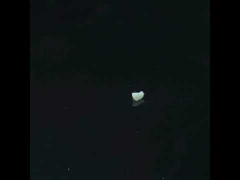 YouTube 썸네일