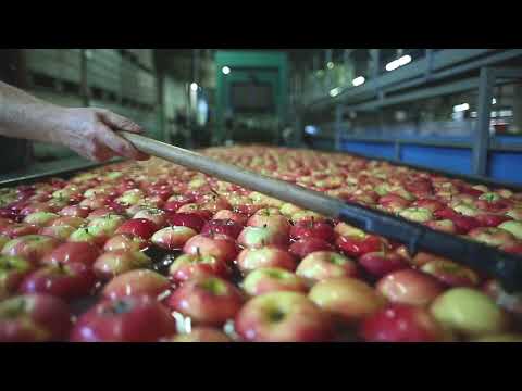 GEISER agro.com ag Mitarbeiterfilm 2016