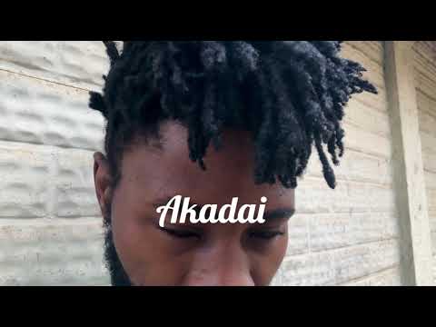 Jeldous_Akadai_ Visualizer