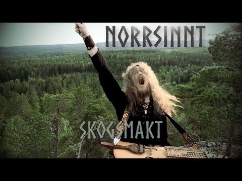 Norrsinnt - Skogsmakt (teaser)