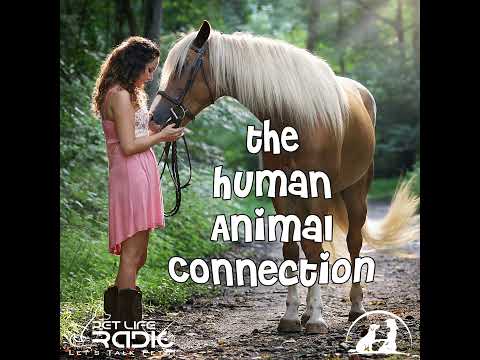 The Human-Animal Connection Ep 1 What Dogs Can Teach Us About Being Good – The Medicine of Good
