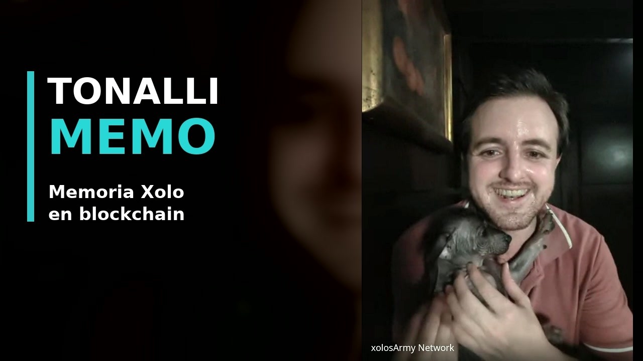 xolosArmy Weekly Update sobre Tonalli Memo, identidad y memoria digital