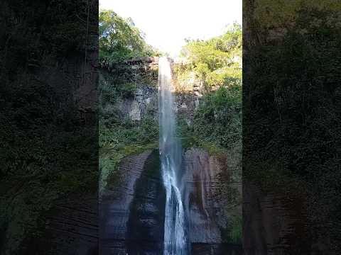 Onde a Natureza Fala Mais Alto 🌿 Cascata de Nova Hartz #paisagemnatural #trilhas #cascatas