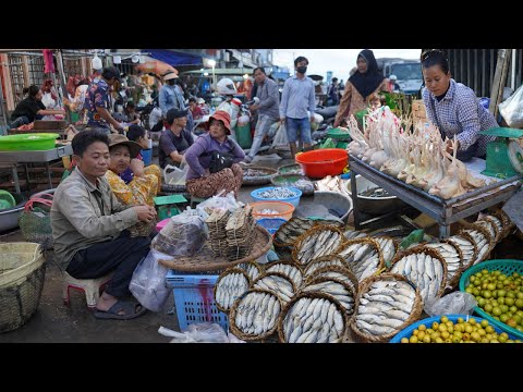 Early Morning Fish Market In Cambodia - Plenty Fish In Harvesting Season Fish Selling In Prek Phnov