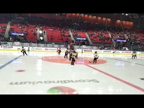 Team 10 Stenungsund Hockey