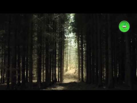 01 - Meditime Kuranore