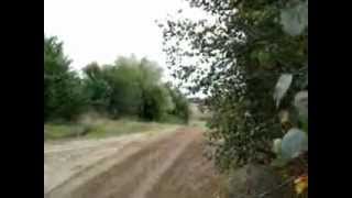 Radek Typa - TESTY / Kraszewo.