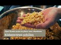 Kikkererwten schillen voor choemoes en messabecha