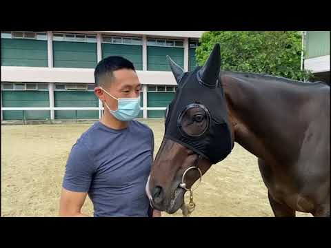 HKJC: Holiday Time with Golden Sixty