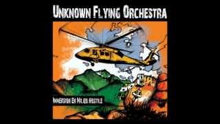 UNKNOWN FLYING ORCHESTRA - I'm leaving home