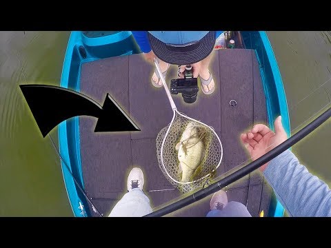 MEGA FREAK BASS! (Biggest of His Life) - THE ONE ep.1