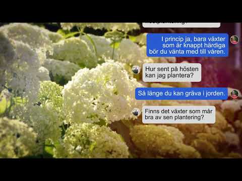 Gillar alla trädgårdsväxter höstplantering?