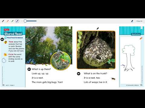 The Best Spot (Active Read Aloud)