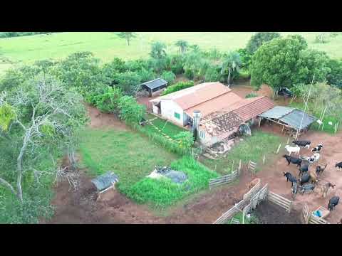 2 ALQU VAL 1.250.000 10 KM DO AsfaltoRegiao de Varjao Go 60 km de Goiânia 62 9 8141-4270 