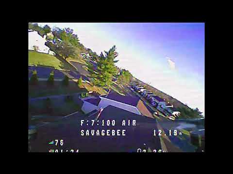 SavageBee Tree Sesh  🤙  Betaflight 4.2.9 - Newbeedrone - Beebrain Brushless V1