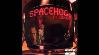 Spacehog - Let The Bee Sting You