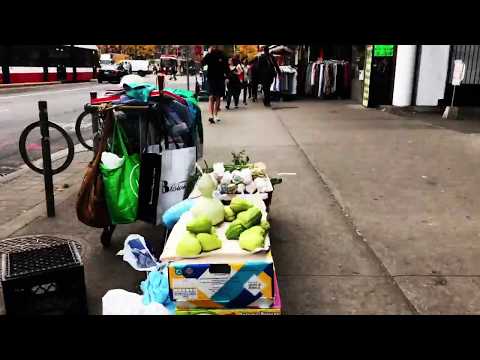 Sly & Robbie meet Dubmatix - Dictionary