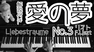 Download lagu 【解説付】愛の夢 第三番/リスト Liebestraume No.3/Liszt mp3 Download lagu 【解説付】愛の夢 第三番/リスト Liebestraume No.3/Liszt mp3