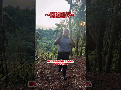 💰 Alta plusvalía | Hectáreas planas con vista en Huamboya - Morona Santiago a 7 minutos del centro.
