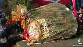Download lagu Reog ponorogo versi tiktok mp3 Download lagu Reog ponorogo versi tiktok mp3