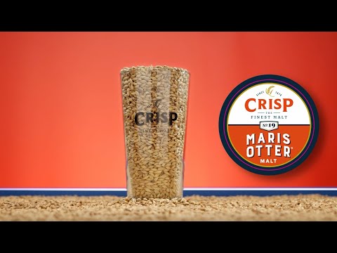 Crisp Malt - No 19 Maris Otter Ale Malt - Malt Tasting Video