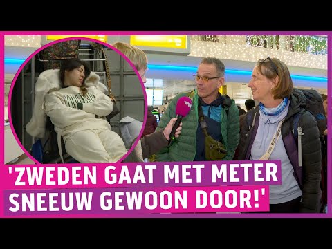 Sneeuw sloopt Schiphol en KLM volledig: 'Medicijnen onbereikbaar!'